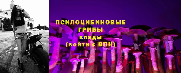 бутират Мегион