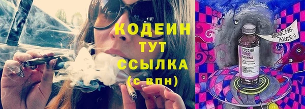 прущие крисы Вяземский