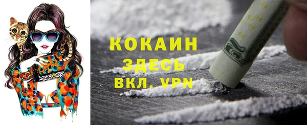 spice Горняк