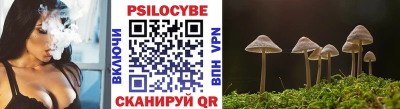 Псилоцибиновые грибы мухоморы  Губкин 
