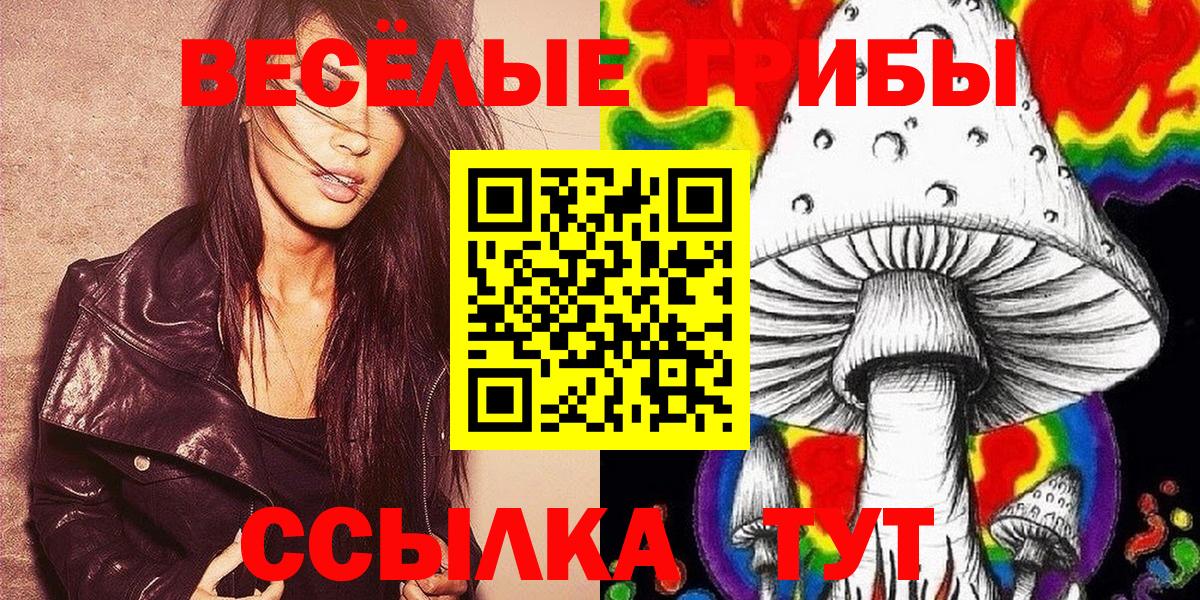 Галлюциногенные грибы Psilocybe Губкин