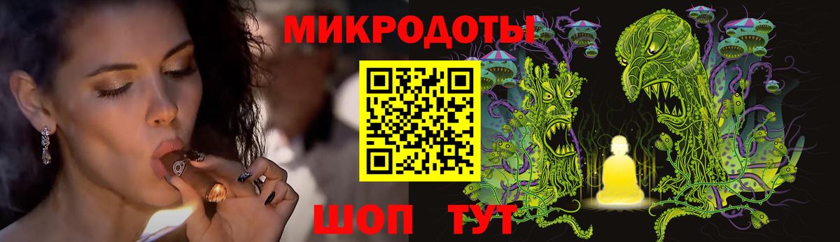 Губкин  Галлюциногенные грибы Psilocybine cubensis  Вход с VPN  Галлюциногенные грибы мухоморы 